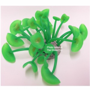 Azoo Neon Coral Green L